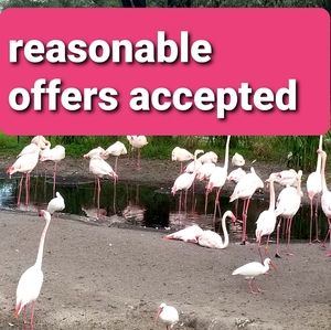 Reasonable offers accepted💖